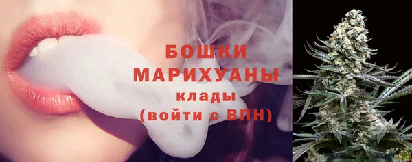 соль ск Новодвинск