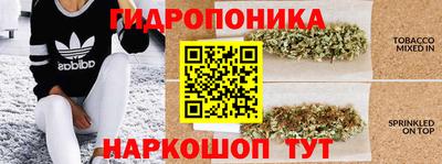 стафф Абакан