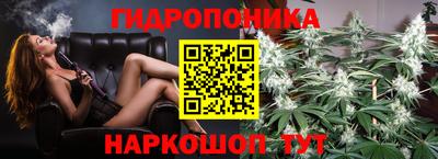 стафф Абакан