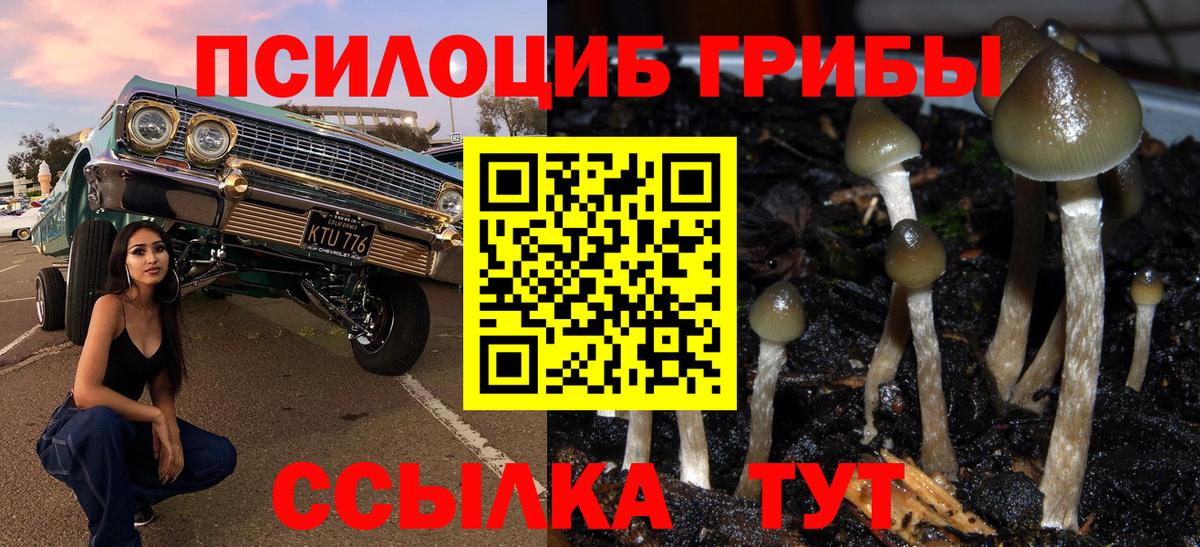 Галлюциногенные грибы Psilocybine cubensis  Вход с VPN  Обь  Галлюциногенные грибы MAGIC MUSHROOMS 