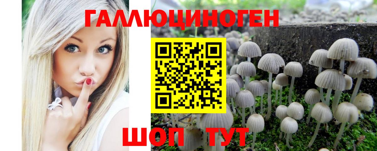 Псилоцибиновые грибы Psilocybine cubensis Обь