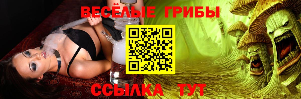 Обь  Галлюциногенные грибы Psilocybe  цена   Вход с VPN 