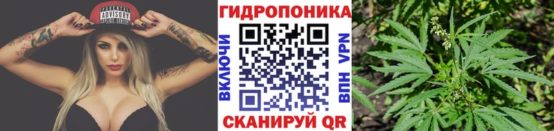 Канабис конопля  Обь 